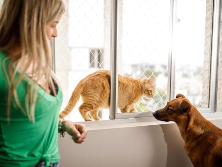 Telas de segurança para quadras em São Luís