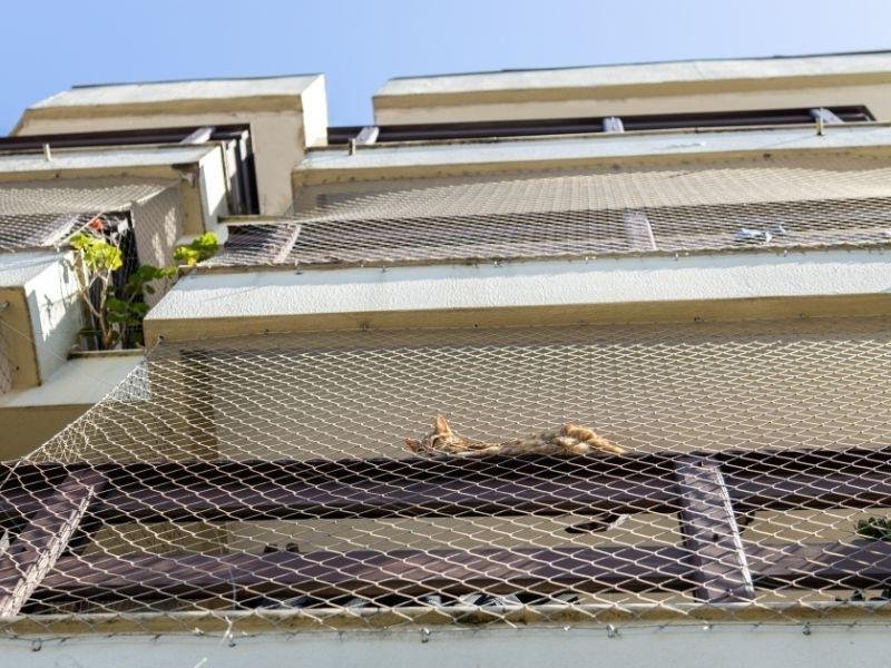 Redes de Proteção em Coroa do Meio, São Luís Redes de Proteção em Coroa do Meio, São Luís