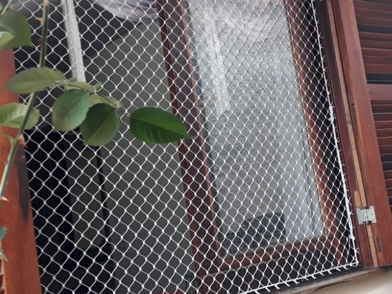 Redes de Proteção em Apicum, São Luís Redes de Proteção em Apicum, São Luís